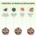 Potaroma Catnip Toys - Silvervine Stick, Cage Balls & Bell Ball for Indoor Cats - Matatabi Cat Chew Toy - 3 Cage Balls - Buy Online on GoSupps.com