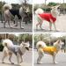 Buy TVmall Dog T-Shirts - Summer Cotton Vests for Medium & Large Dogs | Breathable Sports Shirts - 4 Pack 4XL - Buy Online on GoSupps.com