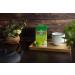 Buy Twinings Jasmine Green Tea - 45g | Authentic London Blend | International Shipping - Buy Online on GoSupps.com