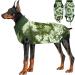 Buy Lianzimau Dogebody After Op Body Suit for Male Dogs - Wound Protection & Comfort | Tie-Dye Green Surge Suit - Buy Online on GoSupps.com