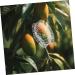 VINTORKY Fruits Forming Mould Vegetable Growing Mold Fruit Ginseng Buddha Shaped Growth Mold Melon to Play with Multipurpose - Buy Online on GoSupps.com