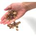 1KG Kind Wash Soap Nuts: Natural Organic Laundry Detergent for Clothes - Soapnut Alternative to Powder, Cleanser, Sheets & Flakes - Buy Online on GoSupps.com
