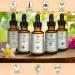 AROMATIKA Vitamin C Serum for Face - 1.0 oz | Pure Vitamin C E & Hyaluronic Acid for All Skin Types - Brightening & Hydrating Facial Serum in Glass Bottle - Buy Online on GoSupps.com