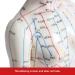 Palank Female Acupuncture Meridian Model - 48cm Human Body Pressure Point Model | Chinese Acupuncture Educational Tool - Buy Online on GoSupps.com