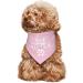Vercoise Big Sister Dog Bandana | Gender Reveal Photo Props | Pregnancy Announcement Pet Scarf (Pink) - Buy Online on GoSupps.com
