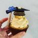 BEISHIDA 12pcs So Proud of You Cupcake Topper Graduation Cupcake Decoration 2024 Graduation Congrats Cupcake Toppers Blue Glitter High School/College/Senior Graduation Party Supplies Blue Black - Buy Online on GoSupps.com