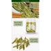 West Lake Longjing Tea Fresh Dragon Well Green Tea Leaves Pick Before Qingming Class A from Longjing Village 100g/3.5 oz.  - Buy Online on GoSupps.com