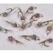 Region Fishing Tungsten Bead Rainbow Warrior Midge Nymph Fly Assortment - 12 Mustad Signature Hooks - Buy Online on GoSupps.com