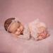 Pink Lace Newborn Photography Romper + Pearl Props | Baby Girl Photo Outfit (0-2 months) - Buy Online on GoSupps.com