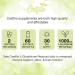 Cestfilo Liposomal Glutathione Reduced 1300 mg Active Form L Glutathione Reductase (GSH) Powerful Antioxidant for Optimal Cell Protection (60 Count (Pack of 1)) - Buy Online on GoSupps.com