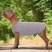 Shop Hjumarayan Washable Dog Sweater for Large Dogs - Elastic Striped Gray XXL - Perfect for Medium & Large Breeds - Buy Online on GoSupps.com