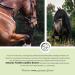 Annimally Muscle Building Powder for Horses 2kg - Amino Acid Supplement with Soy Protein Lysine Carnitine & More - Optimal Muscle Strengthening Feed - Buy Online on GoSupps.com