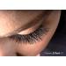 Shop B-Curl Clavier Artificial Eyelashes in Tufts | 10 Lashes per Tuft | Multi-Dimensional Effect | Lengths 6-14 mm - Buy Online on GoSupps.com