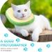 Frienda 2-Piece Adjustable Cat E-Collar | Cute Toast Neck Cone Collar for Kittens and Cats - Buy Online on GoSupps.com