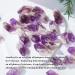 Apengshi 1/2 lb Natural Amethyst Crystal Points - Raw Gemstones for Meditation Reiki and DIY | Bulk Chakra Stones from Brazil - Buy Online on GoSupps.com