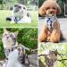 Escape-Proof Cat Kitten Harness with Leash Set Adjustable Soft Kittens Vest Walking Jacket Leash for Cats and Dogs (S) - Buy Online on GoSupps.com