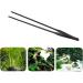 38cm Black Stainless Steel Aquarium Food Tweezers - Rust-Resistant Straight Design for Reptiles & Plants - Buy Online on GoSupps.com