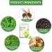 Asheyya 14 Pieces Bee Venom Lymphatic Drainage Patches Bee Venom Patch - Buy Online on GoSupps.com
