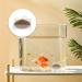 Rumyve2pcs Aquarium Feeding Bowl Acrylic Fish Feeding Dish Fish Feeding Food Dish with Suction Cup Aquarium Round and Square - Buy Online on GoSupps.com