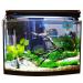 LCD Digital Waterproof Aquarium Thermometer with Suction Cup - Ideal for Betta Fish Tank - Buy Online on GoSupps.com