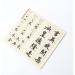 Chinese and Japanese Calligraphy Set with Brushes, Ink, and Water Writing Cloth - 9 Pcs Gift Set for Beginners - Buy Online on GoSupps.com
