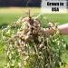 Old Potters Wildlife Shelled Peanuts 5 lbs - USA Grown Non-GMO Raw Peanuts for Birds, Squirrels & Wildlife - Buy Online on GoSupps.com