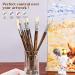 11-Piece Fuumuui Professional Hog Bristle Paint Brush Set for Oil, Acrylic, and Gouache Painting - Buy Online on GoSupps.com