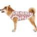 Cool & Breathable Summer T-Shirt for Medium & Large Dogs | Sun Protection Dog Vest - Stylish XL Rainbow Outfit - Buy Online on GoSupps.com