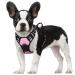 Rabbitgoo dog harness medium -sized dogs anti train cuddles dog with control no pull adjustable dog harness large dogs breathable reflex stripes breast harness dog safe guidance pink s s (1 Pack) pink