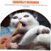 VANZACK 30 pcs Oral Cat Clean Pet Portable Teeth Brush Cleaning for Nylon Dual-head Pets Puppy Small 1 count (Pack of 1) Assorted Colorx3pcs - Buy Online on GoSupps.com