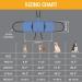 Coodeo Dog Carry Sling Emergency Backpack Pet Legs Support & Rehabilitation Dog Lift Harness for Nail Trimming Dog Carrier for Senior Dogs Joint Injuries Arthritis Up and Down Stairs (L Blue) Large Blue - Buy Online on GoSupps.com