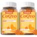 2 Pack CoQ10 500MG Gummies - Plus Omega-3 Magnesium Vitamin B3 & Zinc - 3X Better Absorption Coenzyme Q10 Supplements for Heart Health Cellular Energy & Antioxidant Vegan Non-GMO 120 Counts 60 Count (Pack of 2)