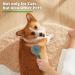 Self-Cleaning Cat & Dog Brush - Long & Short Hair Pet Grooming Tool for Easy Fur Removal | Green - Buy Online on GoSupps.com