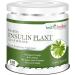 Nutranix ads Insulin Plant Leaf Tea (Costus Igneus) - Blood Sugar Support - Pack of 100g Pure Insulin Plant Powder