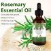 Rosemary Essential Oil for Hair Growth-60ML Rosemary Oil 100% Pure Hair Care Essential Oil Strengthens Hair Roots and Nourishes the Scalp for Women&Men - Buy Online on GoSupps.com