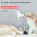 Sunshine Smile Cat Toys Set | Interactive Springs & Treats for Cats & Dogs - Perfect Pet Playtime - Buy Online on GoSupps.com