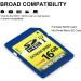 16GB Class 10 SDHC Flash Memory Card Standard Full Size SD Card USH-I U1 Trail Camera Memory Card by Micro Center (2 Pack) 16GB x 2 - Buy Online on GoSupps.com