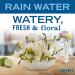 Mrs. Meyer's Hand Soap - Biodegradable Rain Water Formula with Essential Oils, 12.5 fl. oz - Buy Online on GoSupps.com