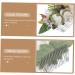 TOVINANNA Bridal Hair Accessories Wedding Bride Hair Comb Tuck Comb Women Headdress Wedding Hair Comb Women Hair Comb Hair Decoration Hair Comb for Bride Flower Shape Hair Decor - Buy Online on GoSupps.com