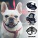 Short Snout Dog Muzzle French Bulldog Muzzle Frenchie Muzzle Short Billed Dogs Muzzle Anti Bitting Chewing Barking with Adjustable Breathe Mesh Overhead Strap for Flat Faced Dog - Buy Online on GoSupps.com