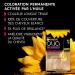 Garnier Permanent Hair Color - Ammonia Free - With Natural Flower Oils - Ultra Light Polar Blonde (10.1) - Olia - Buy Online on GoSupps.com