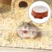 ANMOO Small Animal Feeding Bowl Ceramic Pet bowl Hamster Feeding Bowl Hamster Food Bowl Hamster Ceramic Food Bowl Food & water Bowl - Buy Online on GoSupps.com