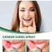 Mouth Bleeding Spray & Ulcer Treatment - Calming Mouth & Throat Spray (20ml) | Fast Relief for Mouth Wounds & Salivation - Buy Online on GoSupps.com