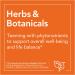 Now Foods Olive Leaf Extract 500mg - 120 Veg Capsules | Immune Support & Antioxidant - Buy Online on GoSupps.com
