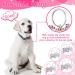 Natiform Two Sided Personalized Pet Tag for Dogs and Cats - Custom Engraved ID with Cute Glitter Design (Pink) - 1 Pack - Buy Online on GoSupps.com