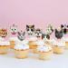 Ercadio 30 Pack Cat Cupcake Toppers Cat Head Cupcake Picks Kitten Cat Cake Toppers Kitten Pet Cat Cupcake Toppers for Cat Theme Birthday Baby Shower Party Cake Supplies A-10 Style Cats - Buy Online on GoSupps.com