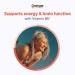 Centrum Clear Mind & Calm Mood Menopause Support Tablets - enXtra 30 Count | International Shipping Available - Buy Online on GoSupps.com