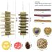 14Pcs Bunny Enrichment Toys Natural Hamster Chew Sticks Molar Guinea Pig Chew Ball Different Flavors Grass Cakes Teeth Grinding Chinchilla Treats for Syrian Hamster Rabbit Gerbil(H02) - Buy Online on GoSupps.com