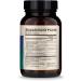 Dr. Mercola Complete Spore Restore - 4 Billion CFU Probiotic Capsules | 90 Count - Buy Online on GoSupps.com