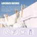 Household White Clothing Reducing Agent White Laundry Whitener White Laundry Detergent Laundry Whitener and Stain Remover Powder (110g-1pcs) - Buy Online on GoSupps.com